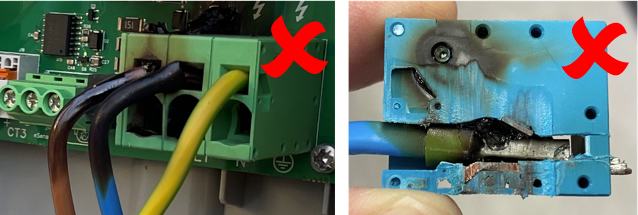 Picture1.png